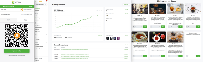 BTCPayServerScreenshot.276d0810